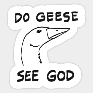 Do Geese See God? Sticker